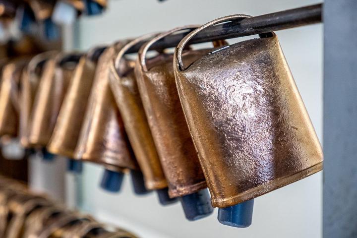 Cloches de sécurité pour les chiens de chasse Castagnac
